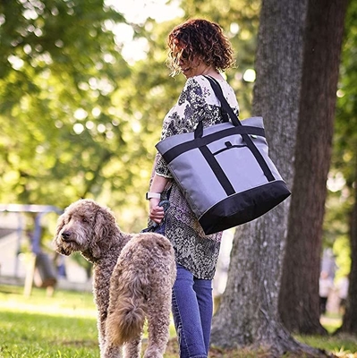 Le doux de courant ascendant de Gray Insulated Cooler Bag HD a dégrossi refroidisseur isolé